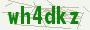 404:Security Code Not Found